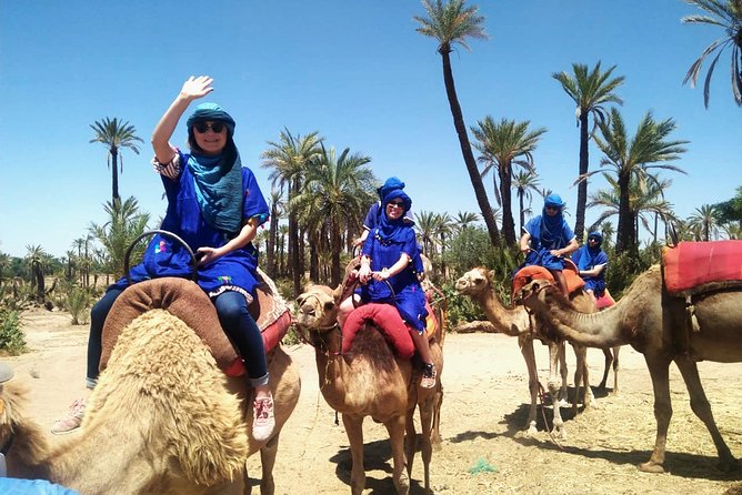 Camel Ride Marrakech – 1-Hour Palmeraie Experience